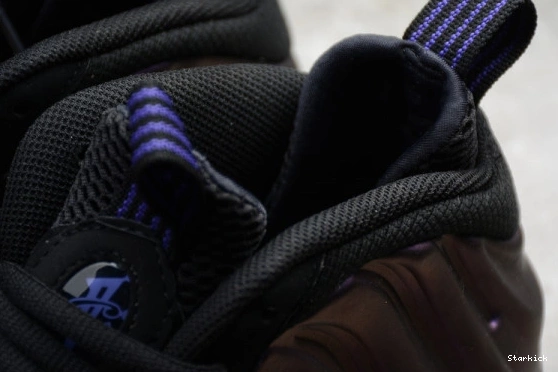  Foamposite Air 314996-008 (2017) Eggplant One 0808